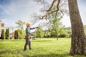 Best Tree Cabling and Bracing  in Gettysburg, PA