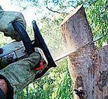 Best Tree and Shrub Care  in Gettysburg, PA