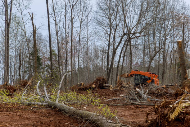 Best Tree Risk Assessment  in Gettysburg, PA