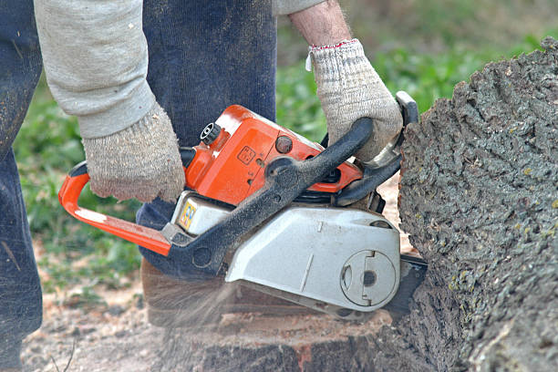 Best Lawn Pest Prevention  in Gettysburg, PA